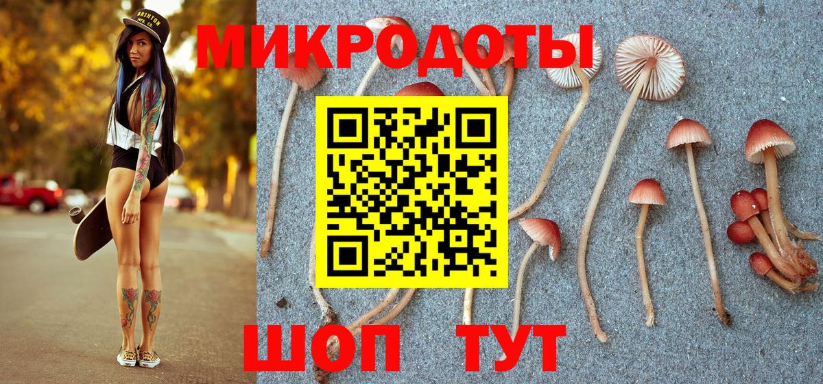 Псилоцибиновые грибы MAGIC MUSHROOMS  Вход с VPN  Каменск-Уральский 