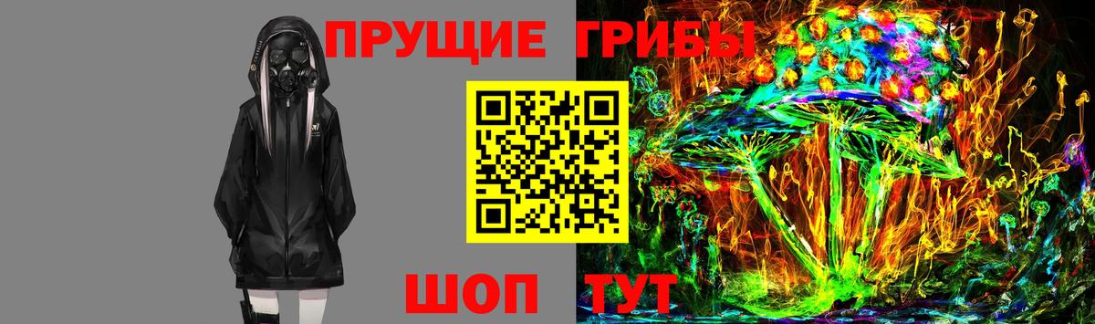 Галлюциногенные грибы Psilocybe Каменск-Уральский